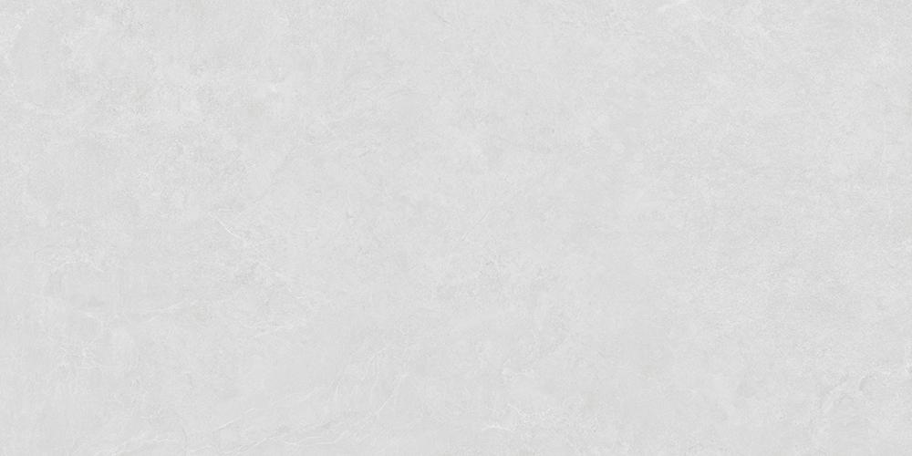 珊瑚中灰
